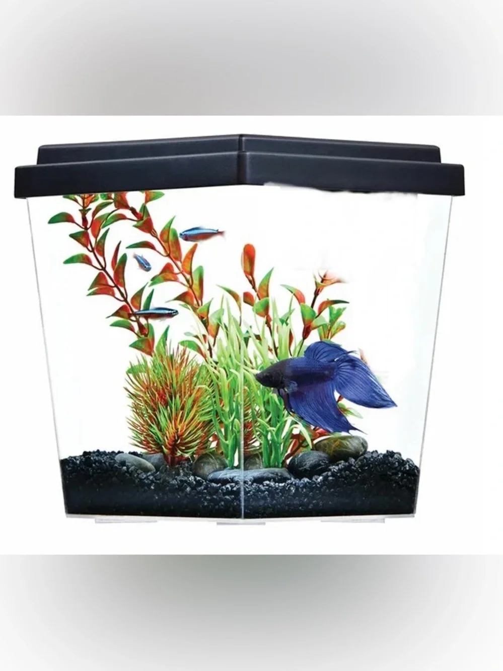 Top Fin Corner Plastic Aquarium Kit with Lid